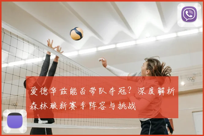 爱德华兹能否带队夺冠?深度解析森林狼新赛季阵容与挑战