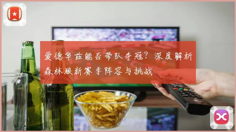 爱德华兹能否带队夺冠?深度解析森林狼新赛季阵容与挑战