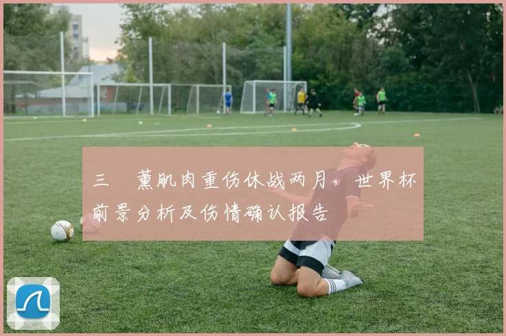 三笘薰肌肉重伤休战两月，世界杯前景分析及伤情确认报告