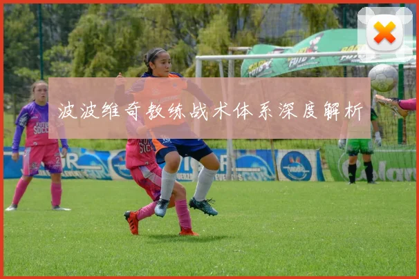 波波维奇教练战术体系深度解析